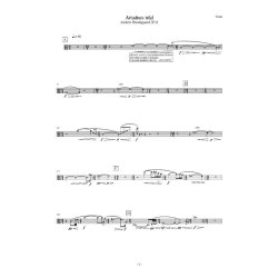 Anders Brdsgaard: Arachne (Parts)