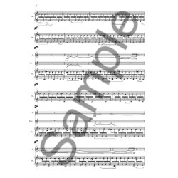 Anders Brdsgaard: Klaverkoncert (Piano Concerto)