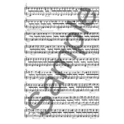 Anders Brdsgaard: Piano Concerto