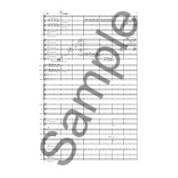 ANDERS KOPPEL DANMARKS HAVE SC