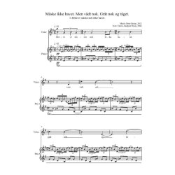 Peter Bruun: Sknheden Hnger P Trerne (PV)