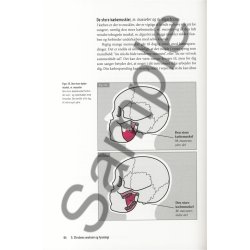 Dorte Sehested Brel: Stemmen som instrument