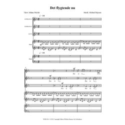 Michael Bojesen: Det Flygtende Nu