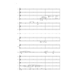Per Nrgrd: Cantica Concertante (Score)