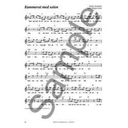 Amdi Riis:  Musikken er af Amdi Riis (Songbook/Biography)