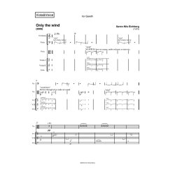 Sren Nils Eichberg: Only The Wind (Parts)