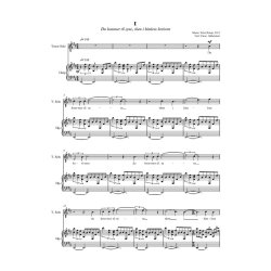 Peter Bruun: Solhymne (Player's score)