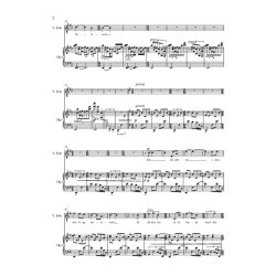 Peter Bruun: Solhymne (Player's score)