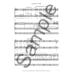 Birch Kantate Til Jul Sop/Satb/Org