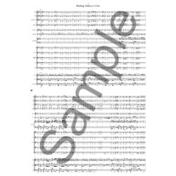 Peter Bruun: Hall&oslash;j i Firmaet - En Kontoropera (Score)