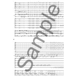 Peter Bruun: Hall&oslash;j i Firmaet - En Kontoropera (Score)