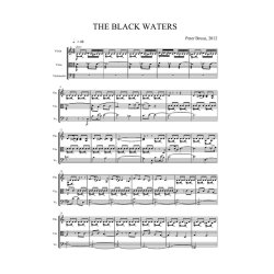 Peter Bruun: The Black Waters (Score)