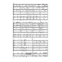 Anders Koppel: Piano Chamber Concerto (Score)