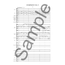 POUL RUDERS SYMPHONY NO.5 SC