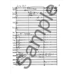 Niels Viggo Bentzon: Automaten