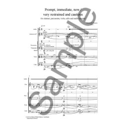 Hodkinson Promt, Immediate, Now Sc