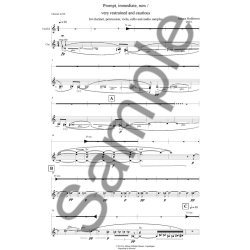 Juliana Hodkinson: Prompt, Immediate, Now / Very Restrained And Cautious (Parts)