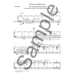 Juliana Hodkinson: Prompt, Immediate, Now / Very Restrained And Cautious (Parts)