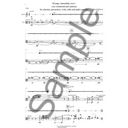 Juliana Hodkinson: Prompt, Immediate, Now / Very Restrained And Cautious (Parts)