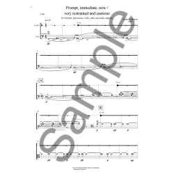 Juliana Hodkinson: Prompt, Immediate, Now / Very Restrained And Cautious (Parts)