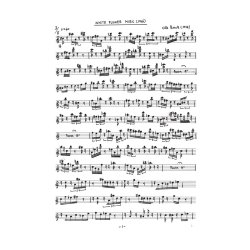 Ole Buck: White Flower Songs (parts)