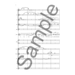 Poul Ruders: The City In The Sea (Reduction For Countertenor And Chamber Ensemble)