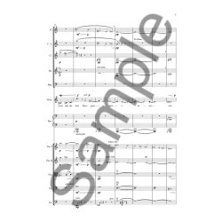 Poul Ruders: The City In The Sea (Reduction For Countertenor And Chamber Ensemble)