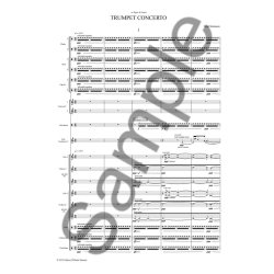 Bent S&oslash;rensen: Trumpet Concerto