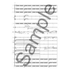 Bent S&oslash;rensen: Trumpet Concerto