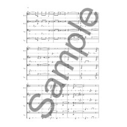 Pelle Gudmundsen-Holmgreen: String Quartet No. 14 'Well-Tuned Sounds' (Score)