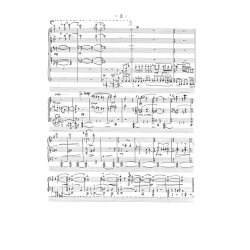 Per Nrgrd: Trifoglio Op.7