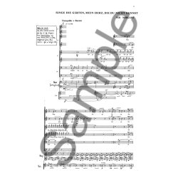 N&atilde;rg&middot;rd Singe Die G&sup3;rten... Sc