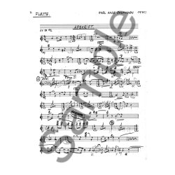 Rasmussen Afskrift Pts