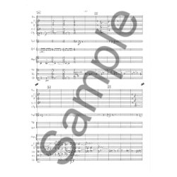 Holmgreen Mirror Ii Sc