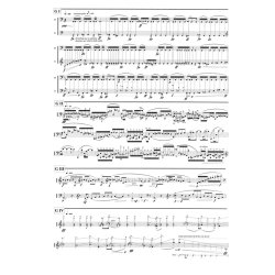 Anders Brdsgaard: Prelude-Labyrinth-Exit