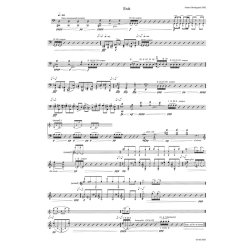 Anders Brdsgaard: Prelude-Labyrinth-Exit