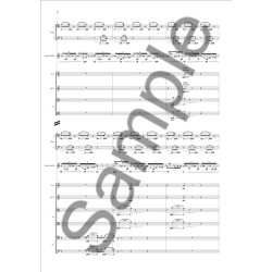 Bent S&oslash;rensen: Doll Steps In Venice (Full Score)