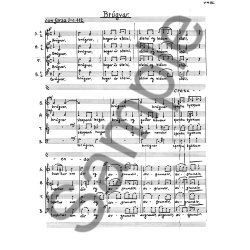 Vagn Holmboe And Karsten Hoydal: Brugvar