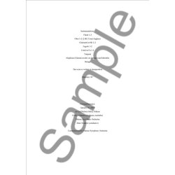 Anders Koppel: Concerto For Aluphone