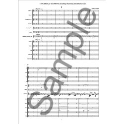 Anders Koppel: Concerto For Aluphone