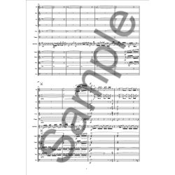 Anders Koppel: Concerto For Aluphone