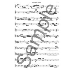 Anders Koppel: Concerto for Aluphone (Doubling Marimba) Solo Part