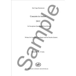 Karl Aage Rasmussen: Concerto In Amber