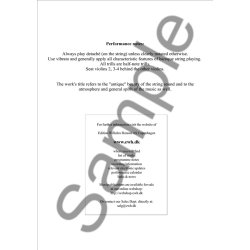 Karl Aage Rasmussen: Concerto In Amber