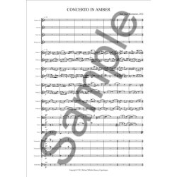 Karl Aage Rasmussen: Concerto In Amber