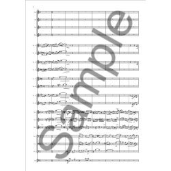 Karl Aage Rasmussen: Concerto In Amber