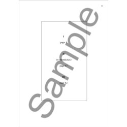 Ib N&oslash;rholm: Symphony No. 13