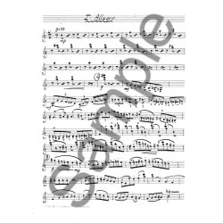 Niels Viggo Bentzon: Kvintet For Violin I, Violin II, Viola, Violoncello Klavier Opus 196