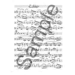 Niels Viggo Bentzon: Kvintet For Violin I, Violin II, Viola, Violoncello Klavier Opus 196