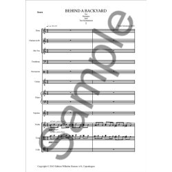 Bent S&oslash;rensen: Behind A Backyard